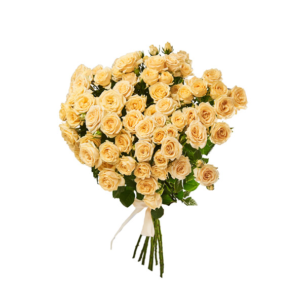 Кустовые розы "Солинеро" 75-85см