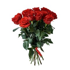 Бардовая роза "Эксплорер" 70см