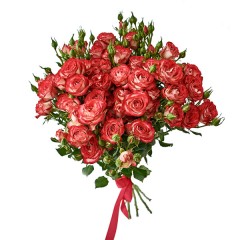 Кустовая роза "Редланс" 75-85см